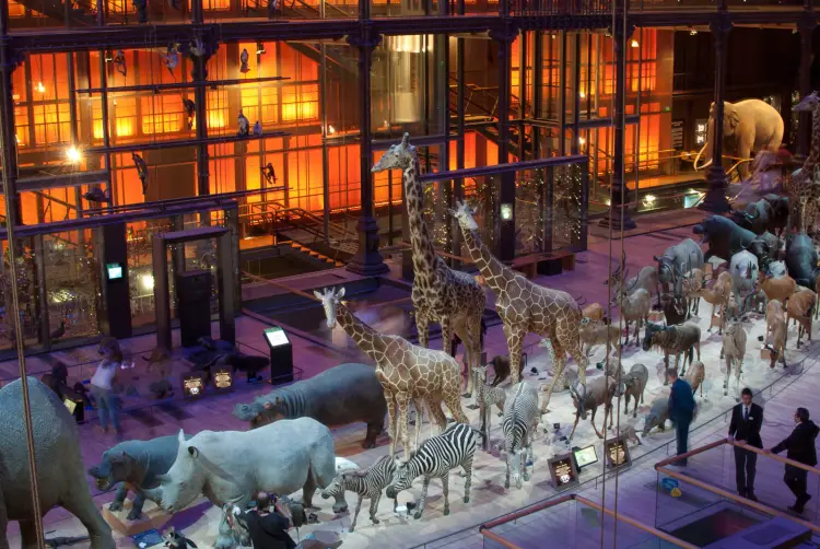 La Grande Galerie de l’Evolution, a museum in Paris which is free each Sunday