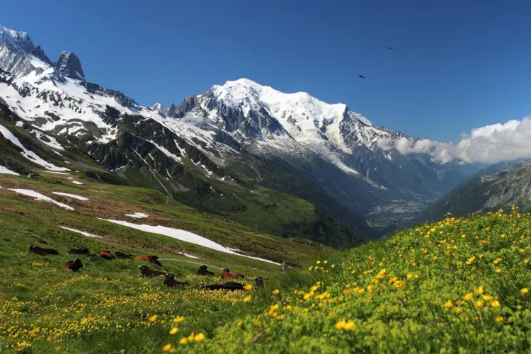 Mont Blanc in the Auvergne-Rhône-Alpes region of France