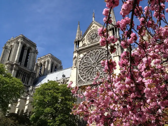 Springtime, my favourite of all the seasons in Paris