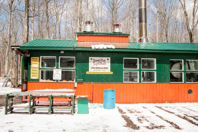Sandy Flat Sugar Bush, which is one of the best things to do with kids in Northumberland County during the spring