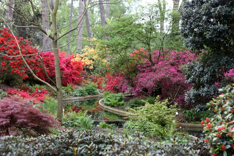 Parc Floral de Paris, which is a great free destination to visit with kids
