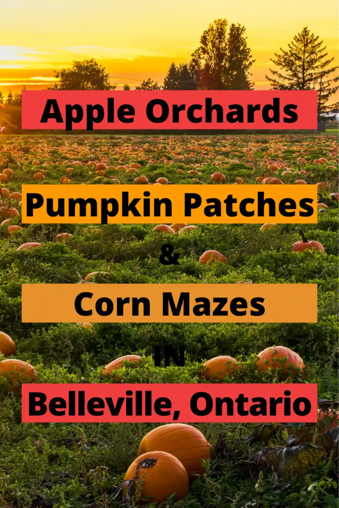 Belleville Apple Orchards & Pumpkin Patches Pin