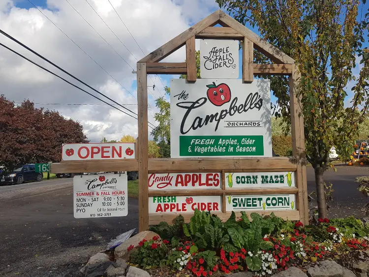 Belleville Area Pumpkin Patches, Apple Orchards and Corn Mazes to Visit