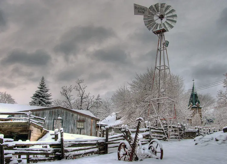 Riverdale Farm in Toronto on Christmas Day
