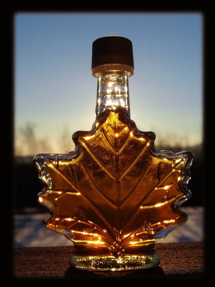 Maple Syrup from one of the sugar bushes in the Quinte Area