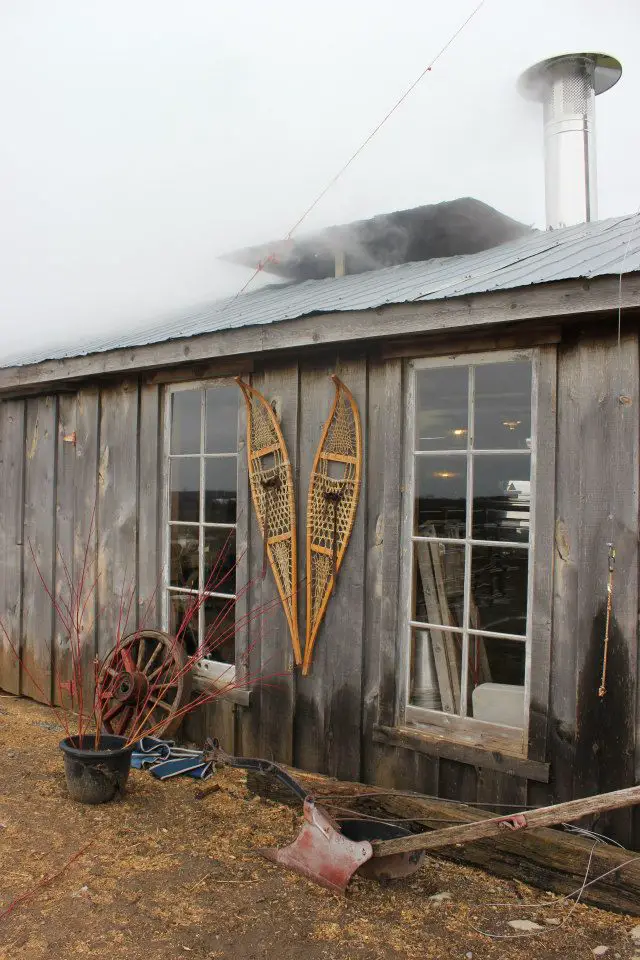 The sugar shack at Nyman Farms, a maple sugar bush in the Quinte Area