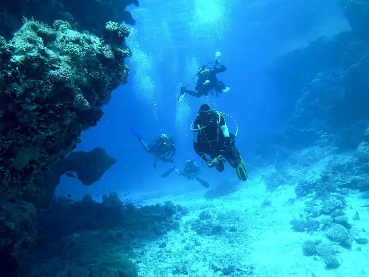 Scuba Diving - Things to do in Negril