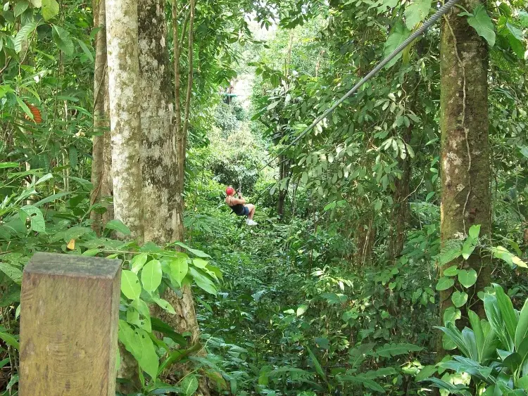 Ziplining, which is one of the popular things to do for adventure seekers in Ocho Rios