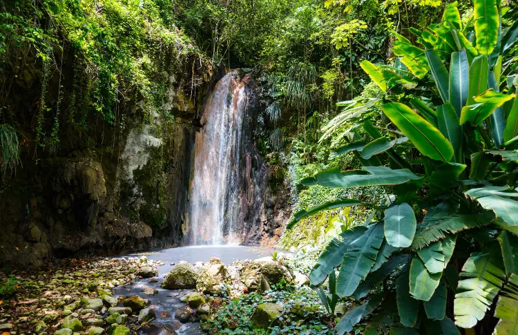 Diamond Waterfall - St. Lucia Travel Guide