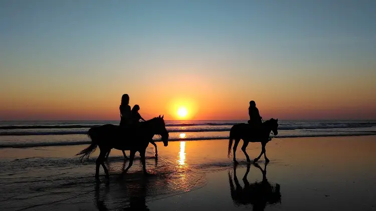Beach Horseback Ride - Things to do in St. Lucia