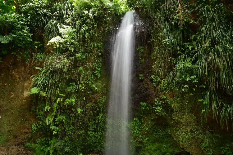 Toraille Waterfall - a fun thing to do in St. Lucia