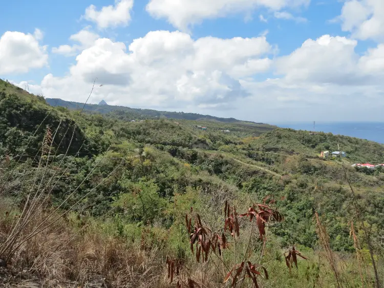 The view from the scenic lookout point we stopped at outside of Canaries on our Island Expo Tour with Real St Lucia Tours - tour review