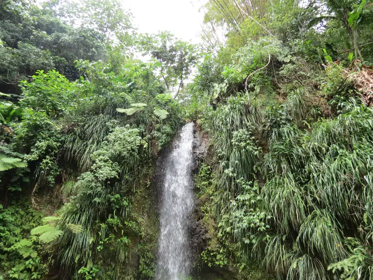 The Toraille Waterfall, a stop on our Island Expo Tour with Real St. Lucia Tours - Tour Review