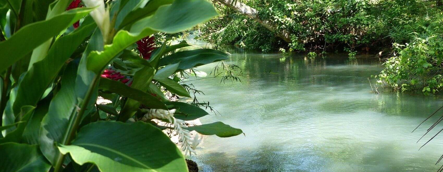 facts-about-jamaica-river