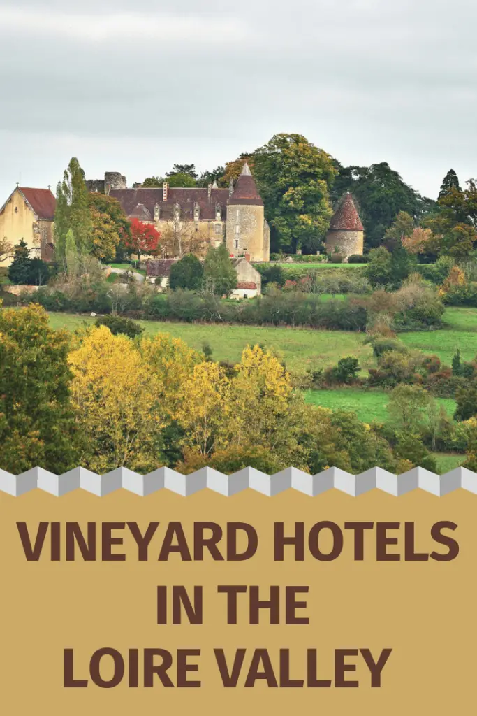 Vineyard Accommodations in the Loire Valley pin