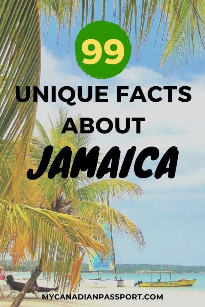 Cool Facts About Jamaica pin