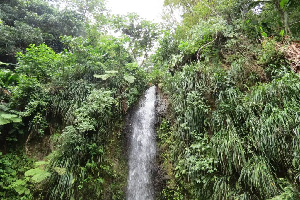 real-st-lucia-tour-review-toraille-waterfall
