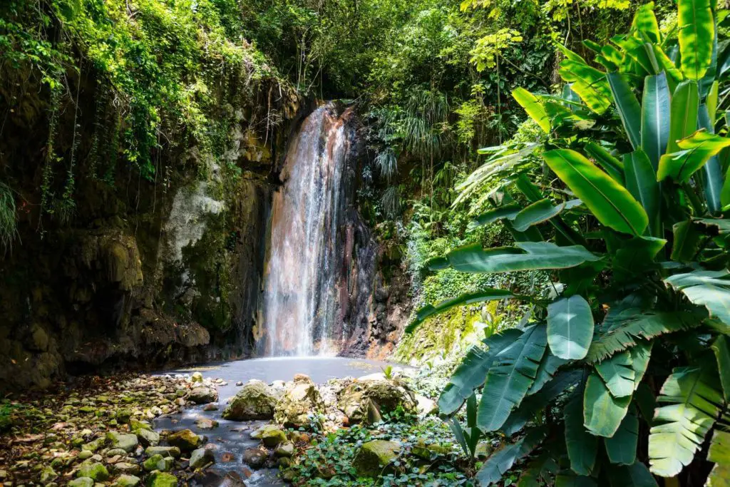 things to do st lucia diamond falls botanical gardens