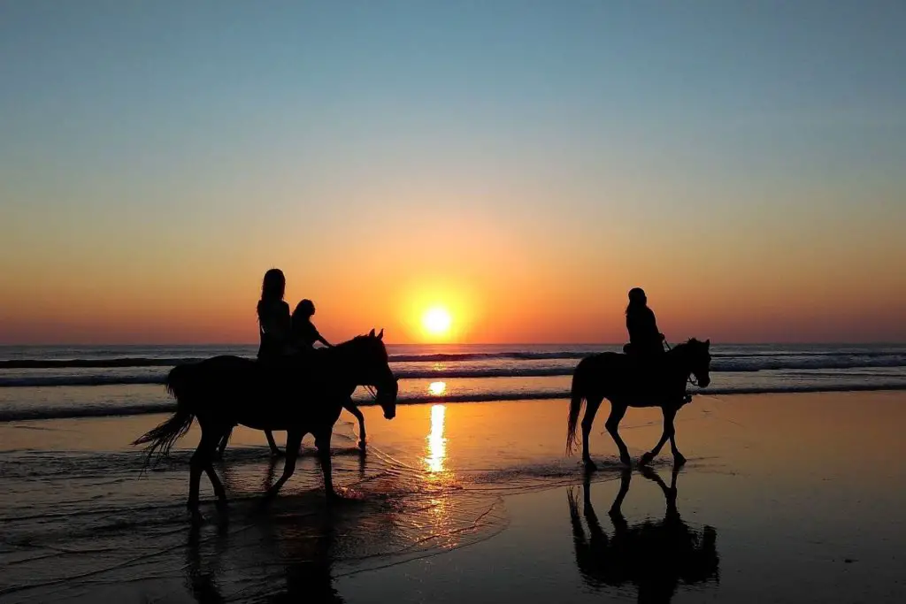 things to do st lucia horseback ride sunset