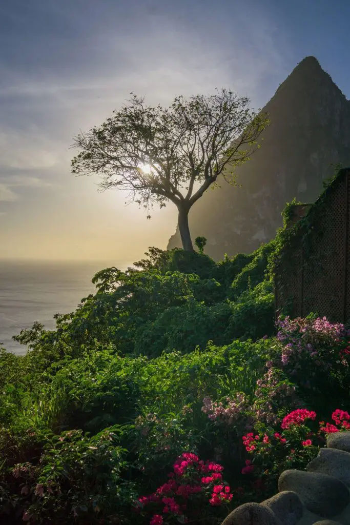 things to do st lucia the pitons