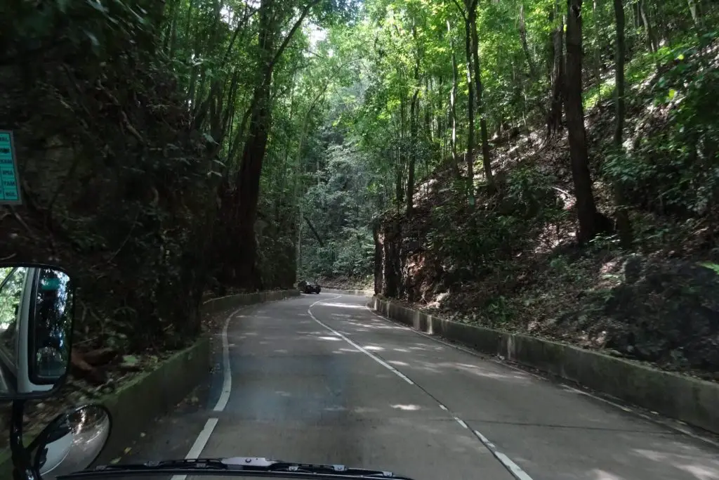 things-to-do-in-ocho-rios-fern-gully