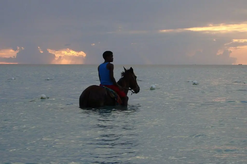 things-to-do-in-ocho-rios-sunset-horseback-riding