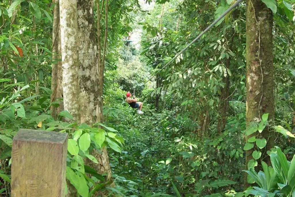 things-to-do-in-ocho-rios-zipline