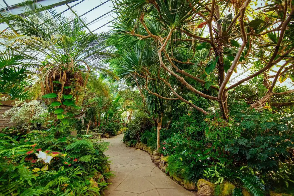 Inside Centennial Park Conservatory
