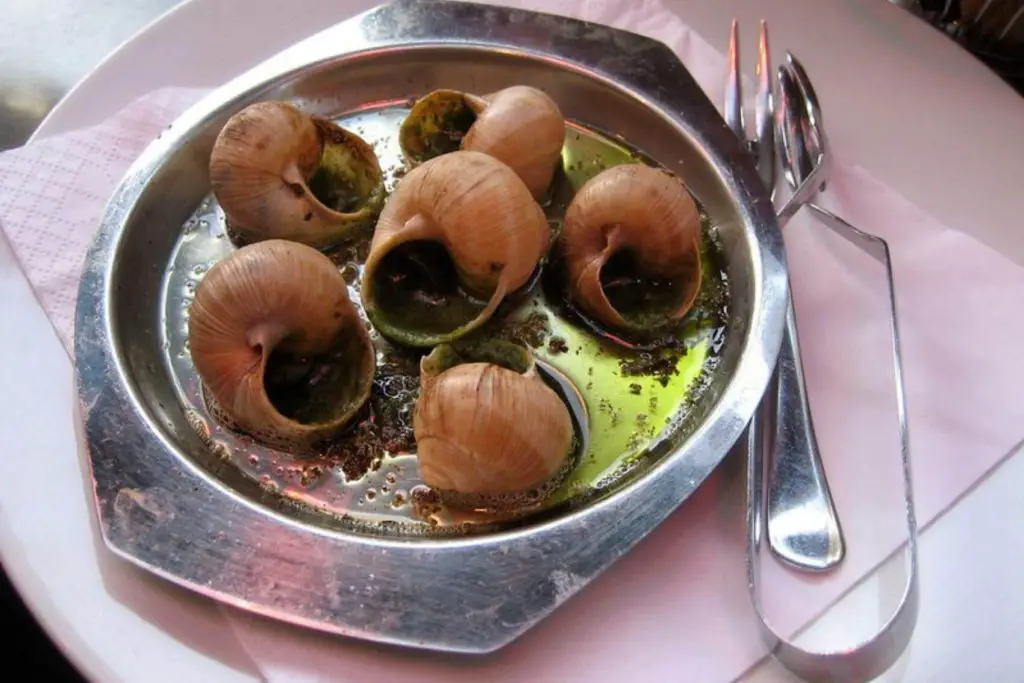 french foods to eat in paris escargots