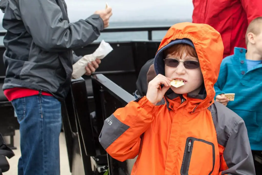 how to avoid getting seasick whale watching