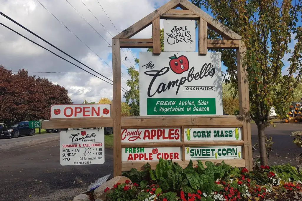 pumpkin patches and apple orchards in the belleville area campbells 4