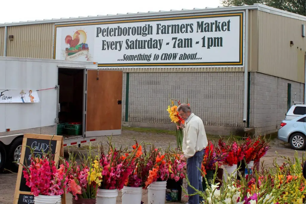 Peterborough Farmers Market. A popular place to visit on Saturday mornings