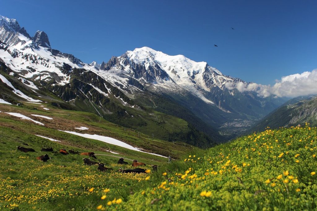 A Beginners Guide to the Regions in France mont blanc