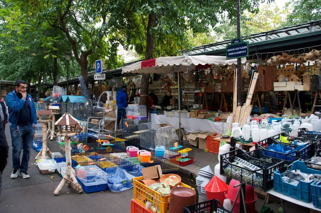 free things to do in paris markets shopping paris bird market by Lee Carson on Flickr