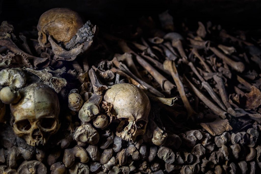unusual attractions paris catacombs