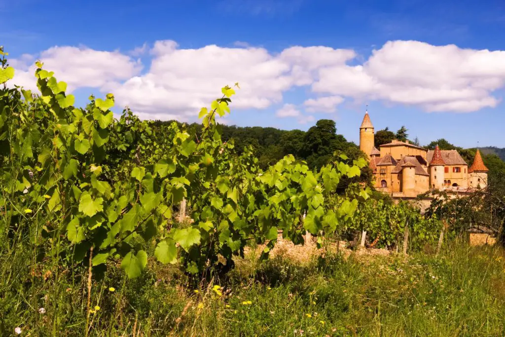 Beaujolais, one of the best weekend destinations from Paris.  