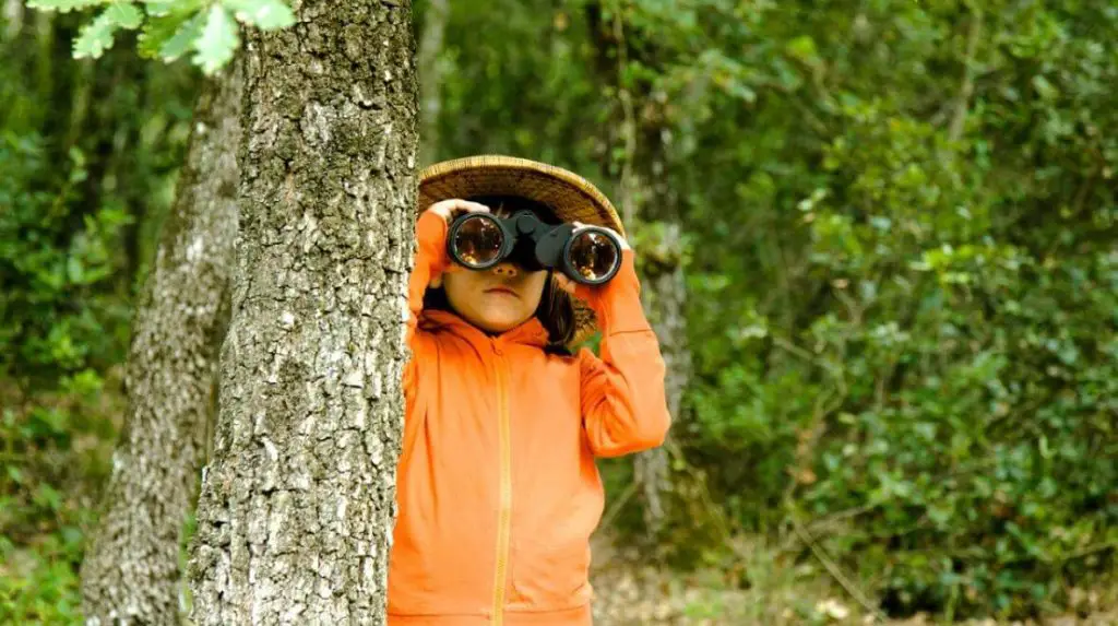 things to do in prince edward county with kids bird watching