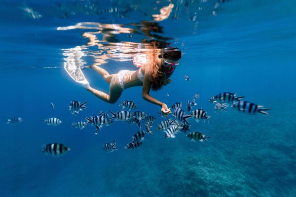 snorkelling in saint lucia cover