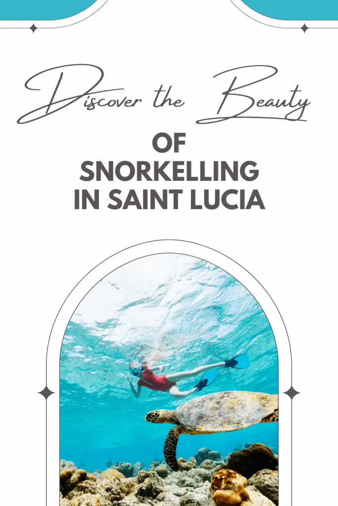 Snorkelling in Saint Lucia pin
