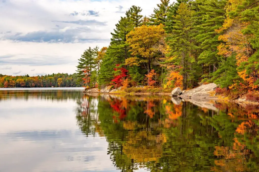 Camping at a Provincial Park in Ontario 2