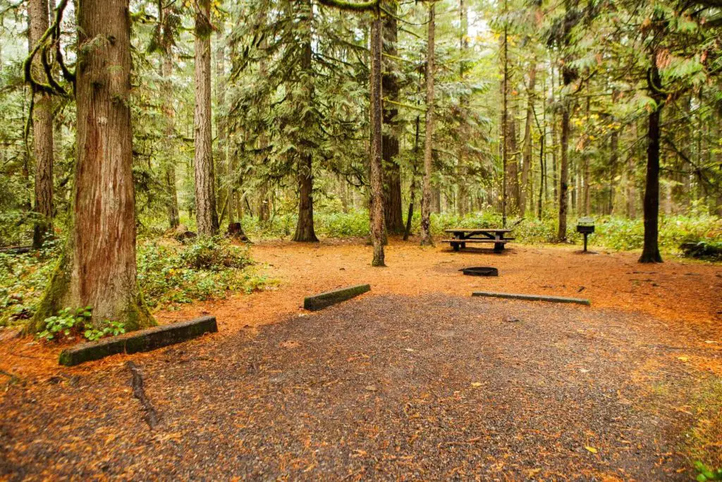 Camping at a Provincial Park in Ontario 3