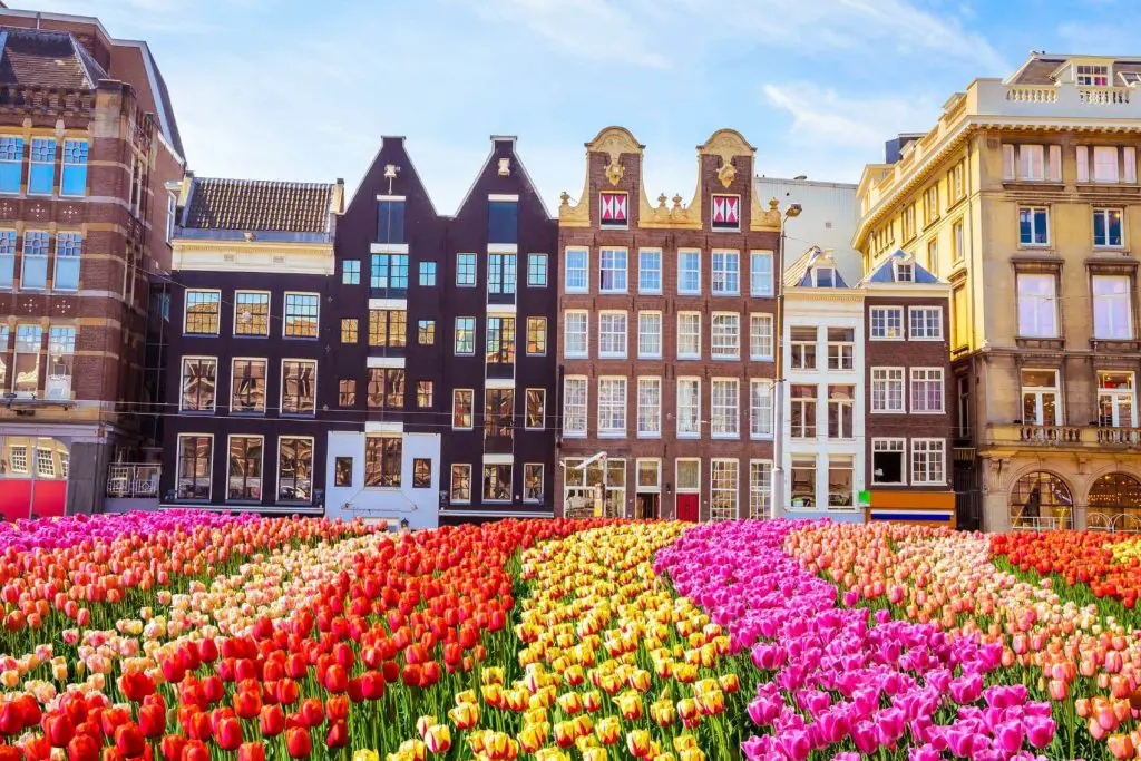 best family vacation destinations amsterdam