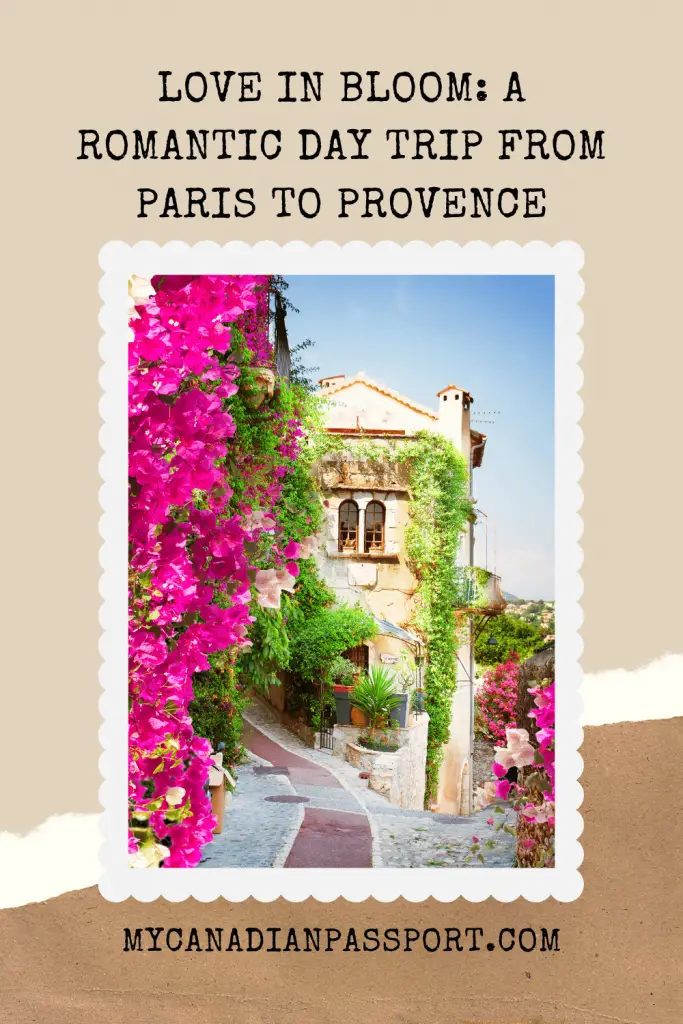 Romantic Day Trip from Paris to Provence Pin
